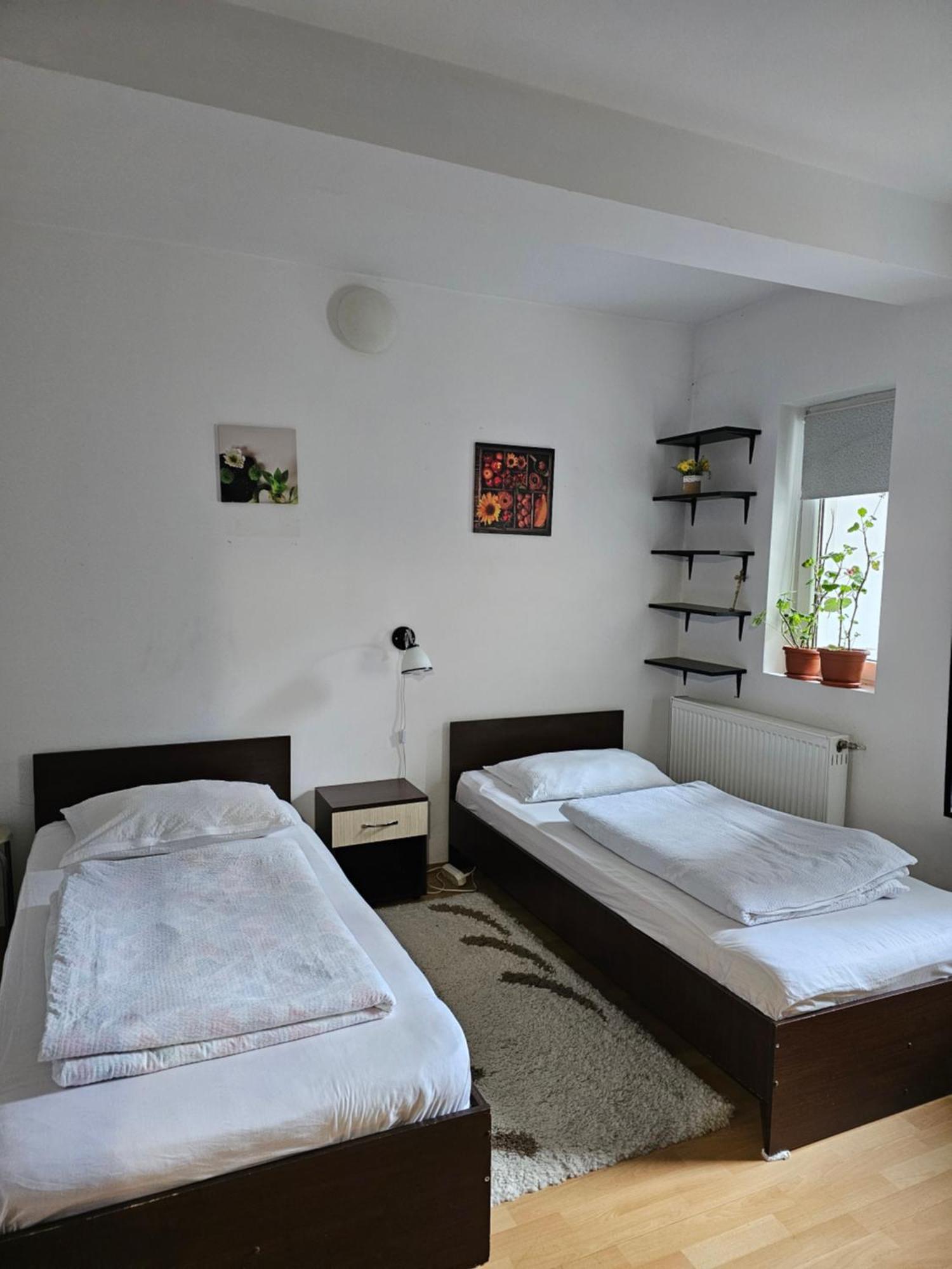 Апартаменты Casa Ana Клуж-Напока Номер фото
